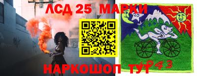 ПСИЛОЦИБИНОВЫЕ ГРИБЫ Сланцы