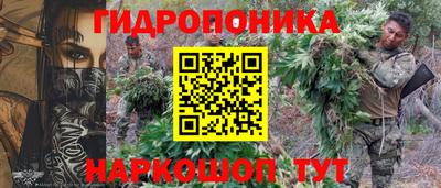 ПСИЛОЦИБИНОВЫЕ ГРИБЫ Сланцы