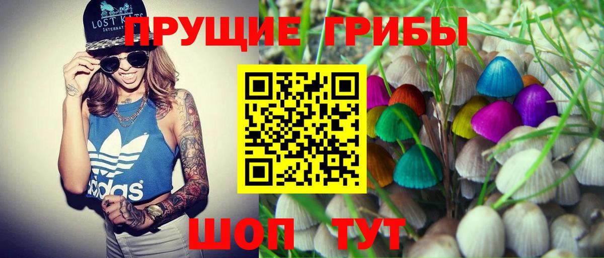 продажа наркотиков  Галлюциногенные грибы MAGIC MUSHROOMS  Вход с VPN  Холмск 